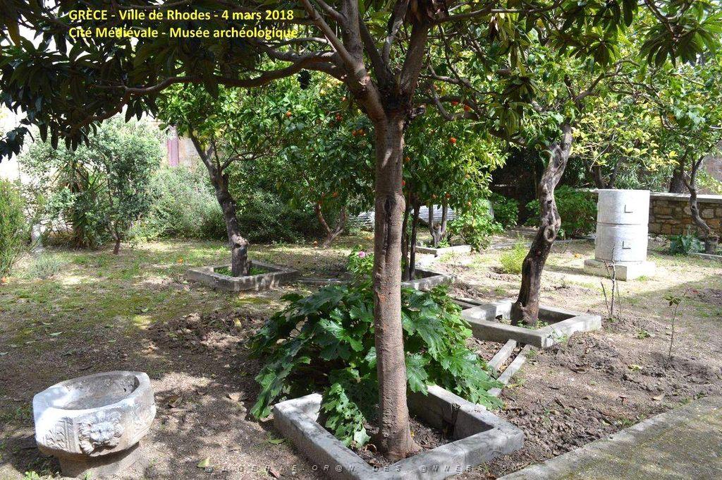 041- Musee archeologique Rhodes.JPG